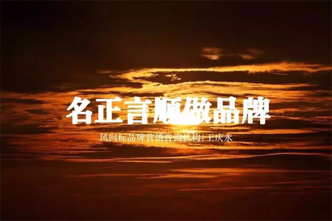 风向标智库——山东临沂品牌营销策划公司